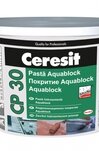 CP 30 Aquablock водонепроницаемое силикон-каучуковое покрытие